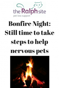 Bonfire Night- Still time to take steps