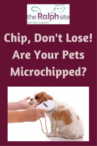 Microchipping your pets is important
