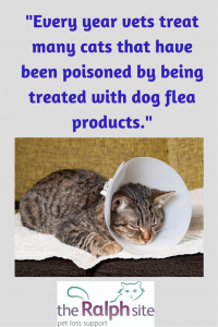 DO treat pets for parasites. DON'T use dog products on cats!