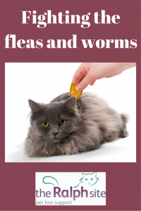 Fighting the fleas and worms (1)pinterest
