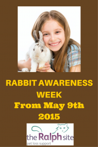 Rabbit Awareness Week 2015