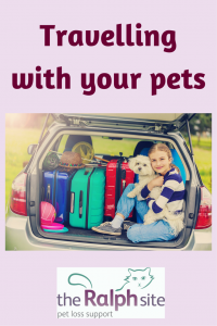 Travelling with your pets