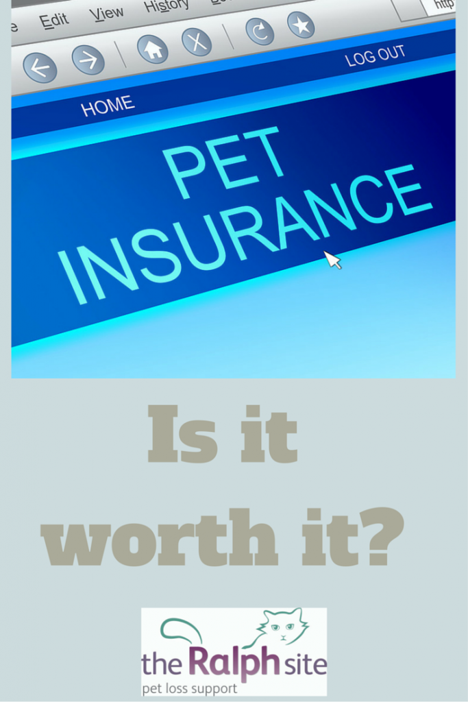 Pet Insurance Is It Worth It? The Ralph Site Blog