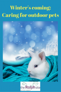 Caring for outdoor pets