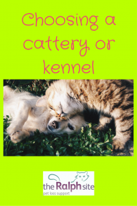Choosing a cattery or kennel pinterest