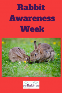 Rabbit awareness week pinterest