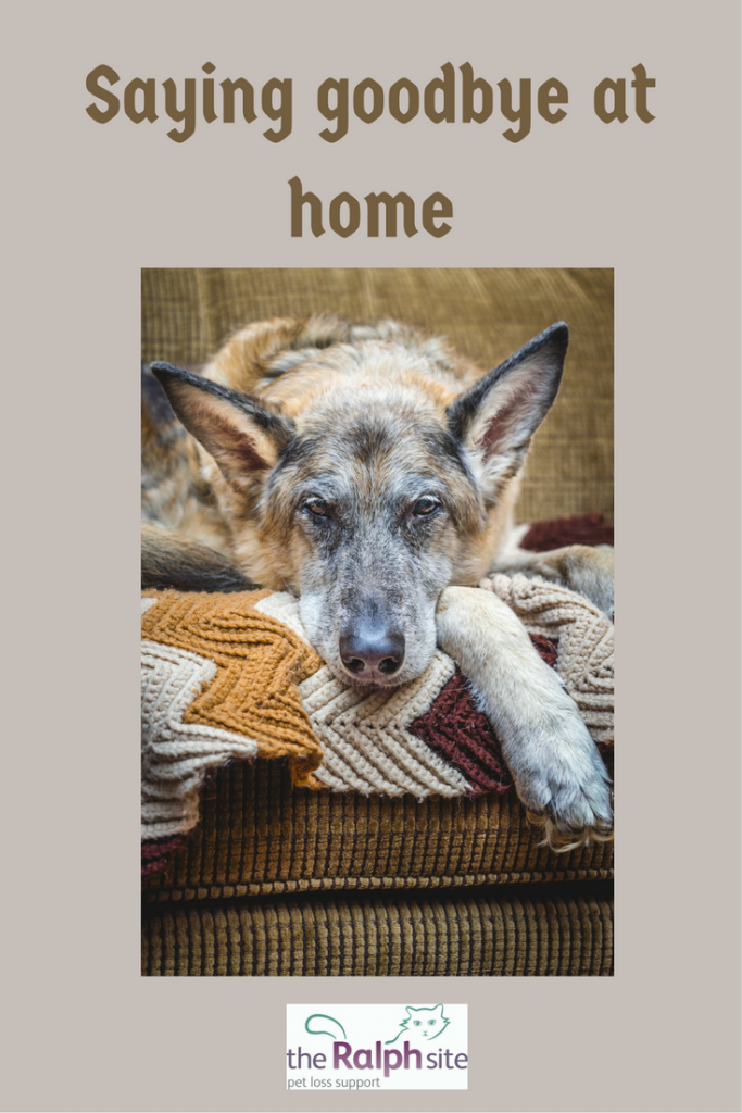 Bye Ralph Saying goodbye at home | The Ralph Site Blog