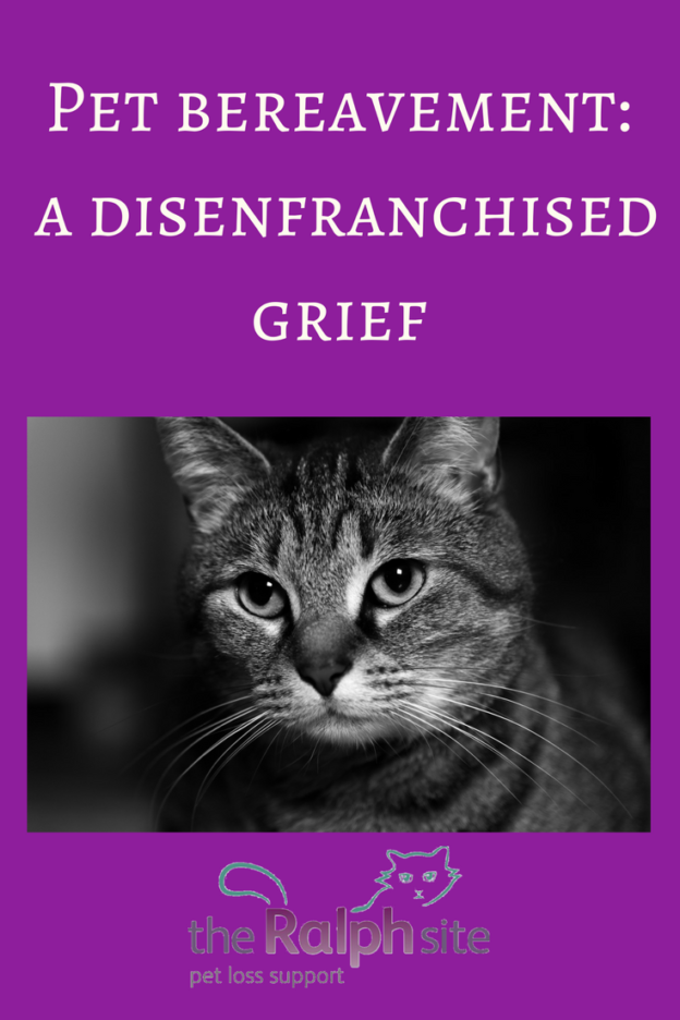 A hidden sorrow experiencing pet bereavement as a disenfranchised