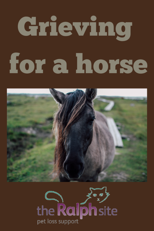 Grieving the loss of your horse The Ralph Site Blog