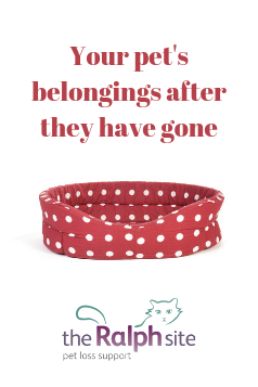 What to do with your pet's belongings after they have gone?